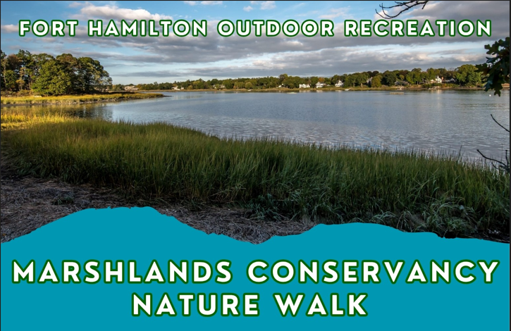 Marshlands Conservancy Nature Walk 